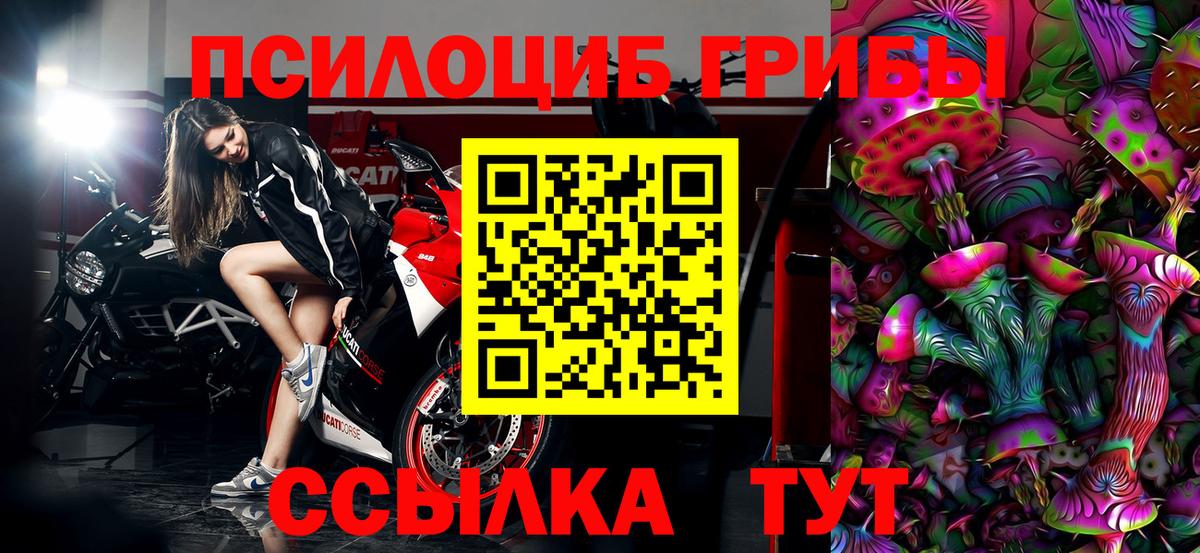 Галлюциногенные грибы мицелий  Вход с VPN  Лесной 